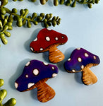 Mushroom Magnet