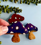Mushroom Magnet